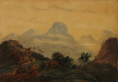 Paisaje (Recuerdo de Brasil) de Prilidiano Pueyrredon